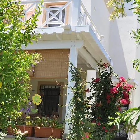 Evoteli Group 2+1 Daire Mandalina Apartmán